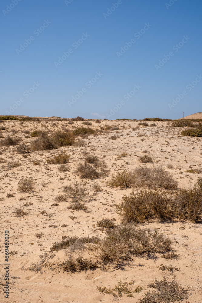 Desert landscape of white sand and desert bushes. Mountains in the background. Clear sky. Lanzarote, Canary Islands, Spain. Desert landscape of white sand and desert bushes. Mountains in the background. Clear sky. Lanzarote, Canary Islands, Spain.