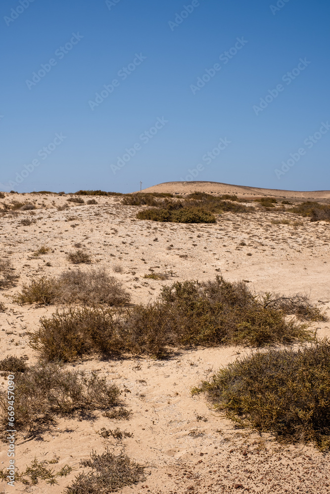 Desert landscape of white sand and desert bushes. Mountains in the background. Clear sky. Lanzarote, Canary Islands, Spain.
