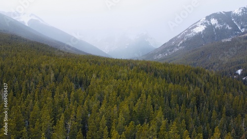 Snowfall is coming to a very beautiful national park in Alberta. Mountains  forest. Canada.