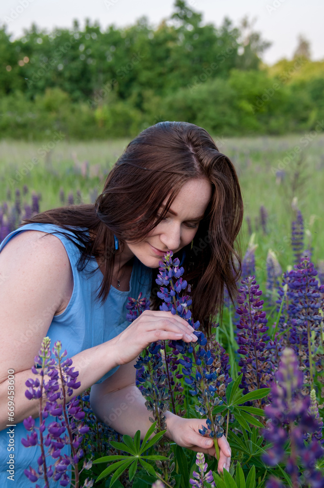 Beautiful brunette girl in a blue dress on the field sniffing lupine flowers in summer Beautiful brunette girl in a blue dress on the field sniffing lupine flowers in summer