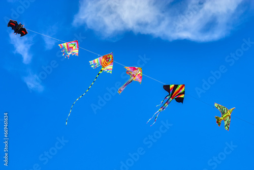 Kids wind kites on the blue sky