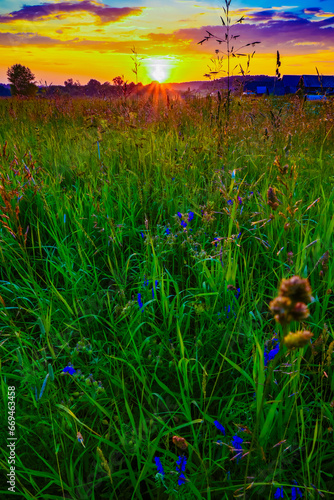 field in the light of the setting sun with rays