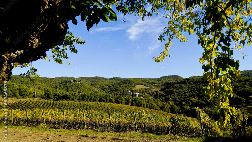 Le colline e i vigneti sul percorso dell'Eroica . Panorama autunnale. Chianti, Toscana. Italia Le colline e i vigneti sul percorso dell'Eroica . Panorama autunnale. Chianti, Toscana. Italia