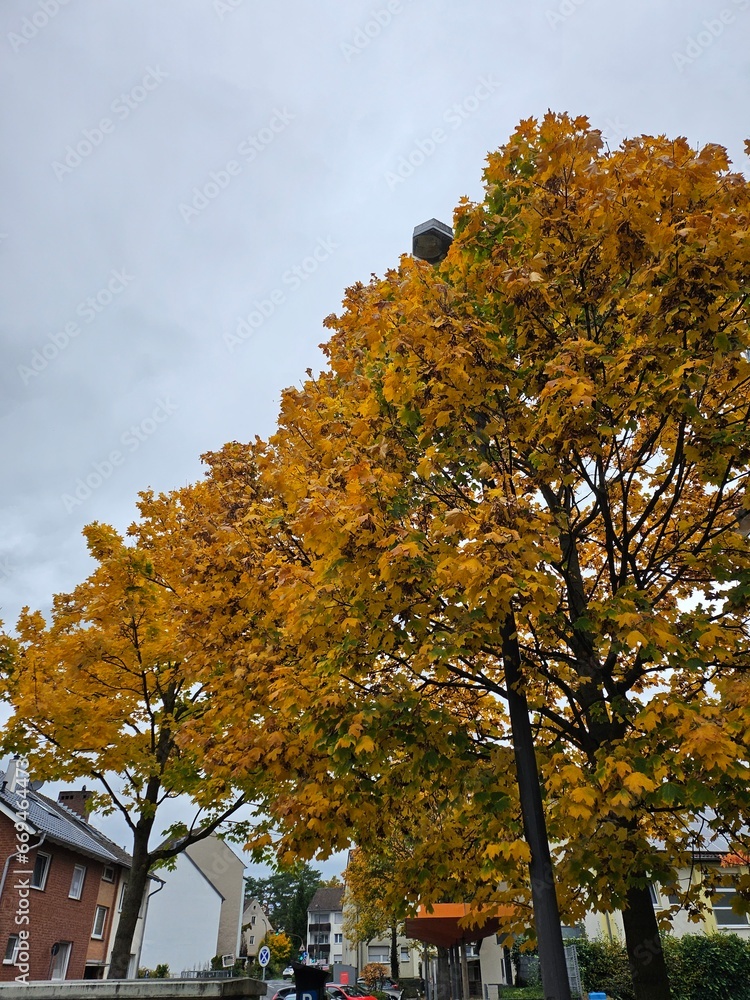 Tolle farben des Herbstes. So bunt und so schön 