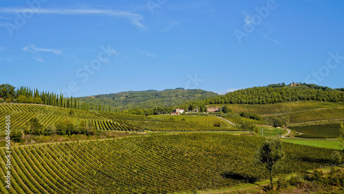 Le colline e i vigneti sul percorso dell'Eroica . Panorama autunnale. Chianti, Toscana. Italia