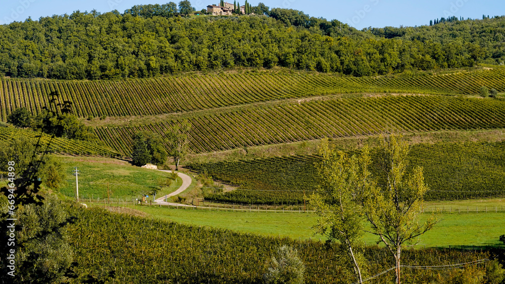 Le colline e i vigneti sul percorso dell'Eroica . Panorama autunnale. Chianti, Toscana. Italia Le colline e i vigneti sul percorso dell'Eroica . Panorama autunnale. Chianti, Toscana. Italia
