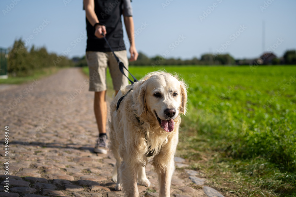 person with dog person with dog