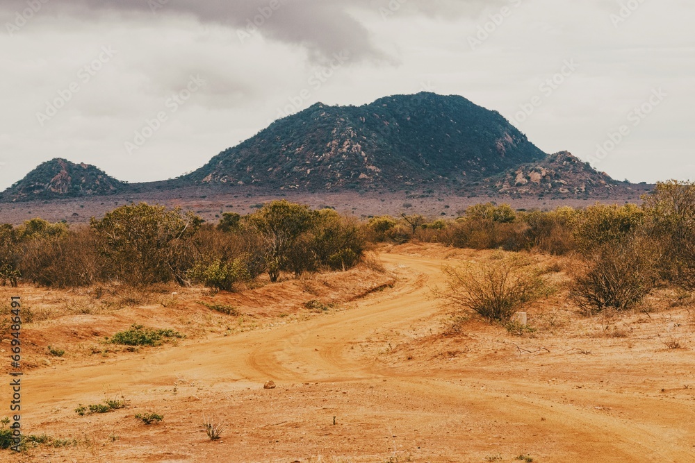Naklejka premium Savannah grassland landscapes with acacia trees and mountains in Tsavo East National Park, Kenya