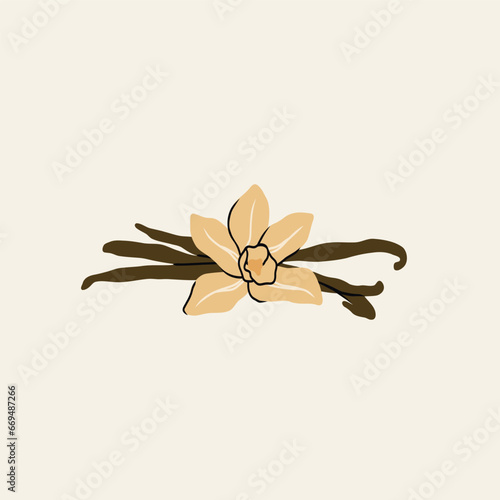 Flat vector vanilla flower illustration