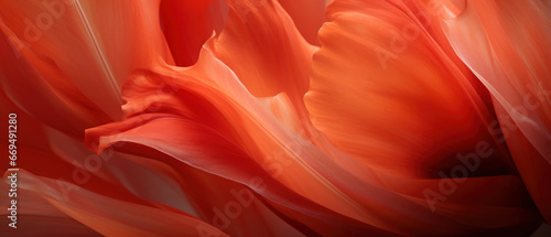 Vivid tulip details in close-up.