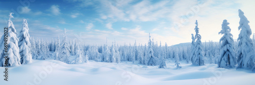 Beautiful frosty scene. © smth.design