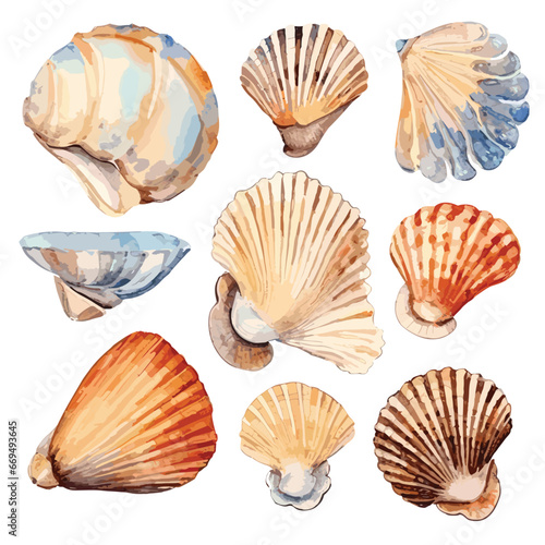 watercolor collection of seashells illustration isolated on white background