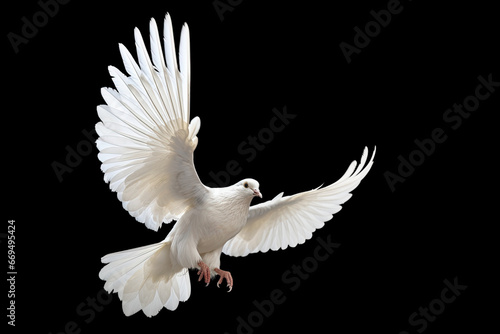 White dove flying on black background free Clipping path .international day of peace Generative ai
