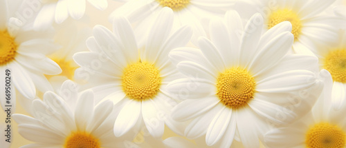 Stunning macro of a daisy .