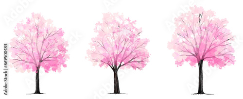 Vertor set of spring blossom tree,bloomimg plants side view for landscape elevation and section,eco environment concept design,watercolor sakura illustration,colorful season