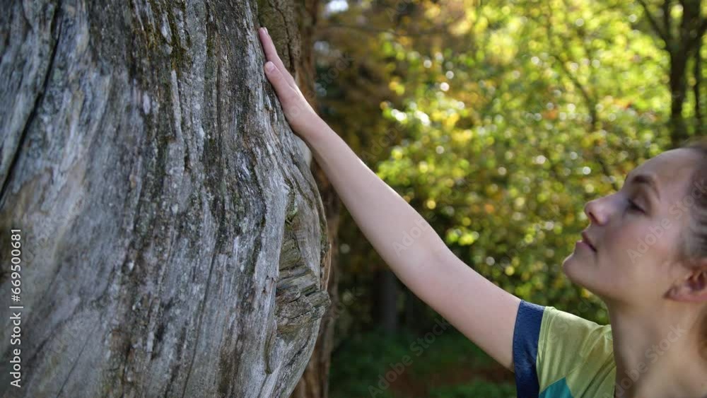 Young woman connecting and communicating with a majestic old tree, touching and stroking its bark, side view close up. Nature and people bond concept. Young woman connecting and communicating with a majestic old tree, touching and stroking its bark, side view close up. Nature and people bond concept.