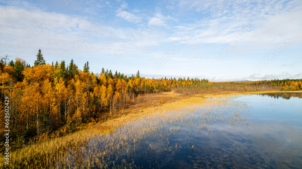Herbst an einem See in Vösterbotten im Norden von Schweden - obrazy, fototapety, plakaty 