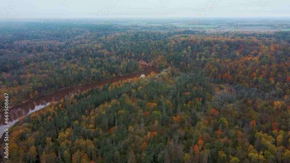 Autumn Gauja River Near in Sigulda, Latvia. Colorfull Forests and Valley Aerial Drone Shot Gauja National Park. The Devil Cliff Pedestrian Bridge Over the River Gauja View From Ski Resort Kakitis Autumn Gauja River Near in Sigulda, Latvia. Colorfull Forests and Valley Aerial Drone Shot Gauja National Park. The Devil Cliff Pedestrian Bridge Over the River Gauja View From Ski Resort Kakitis