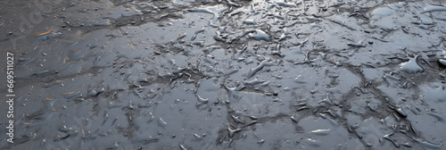 TEXTURE OF OLD WORN WET ASPHALT IN THE CITY. legal AI