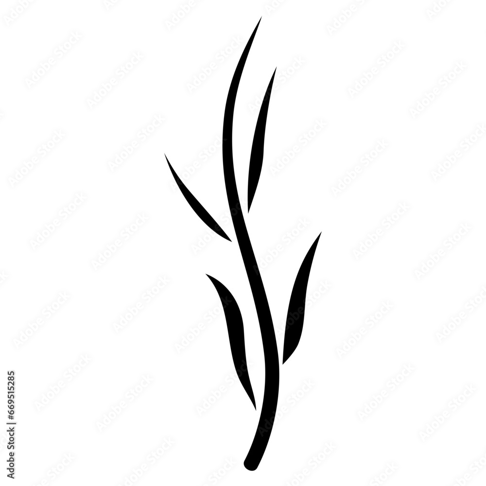 illustration of a plant illustration of a plant