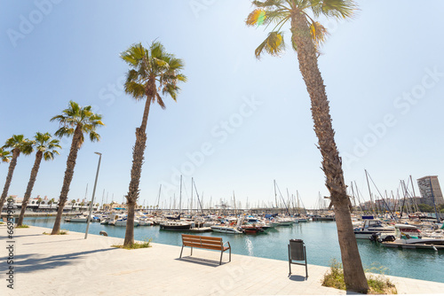 Marina with yachts in Alicante, Spain, Mediterranean sea. Empty bench and palm trees, sunny day. © Olga Ev