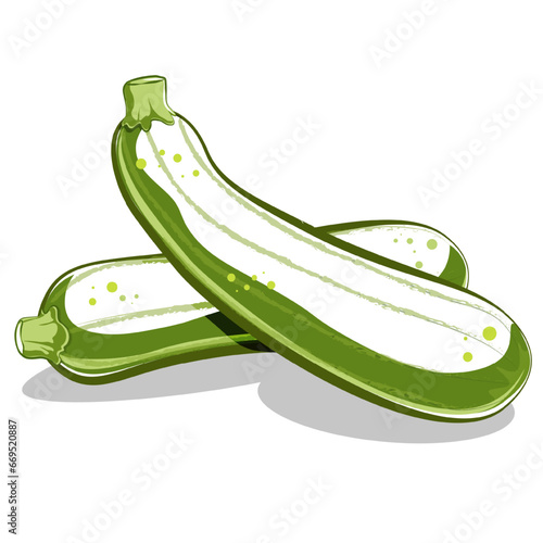 Flat vector illustration of green zucchinis isolated on white background