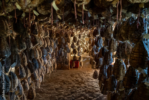 Culatello di Zibello traditional italian ham production cellar
