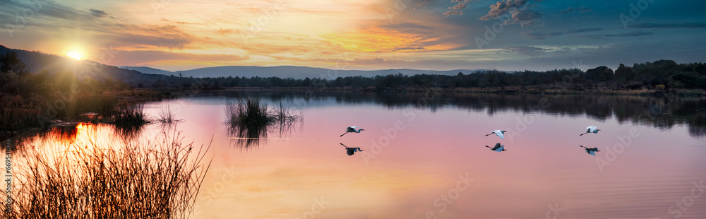 Fototapeta premium panorama with herons flying over lake at sunset, picturesque vista of unspoiled conservation project