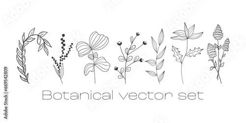 Botanical vector, set. Linear doodle style. A minimalist image of plants. Branches with pointed leaves, berries, cute flowers. For postcards, prints, stickers.