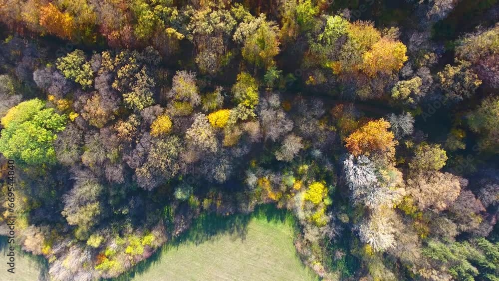 Autumn Forest, aerial view, fly over trees Autumn Forest, aerial view, fly over trees