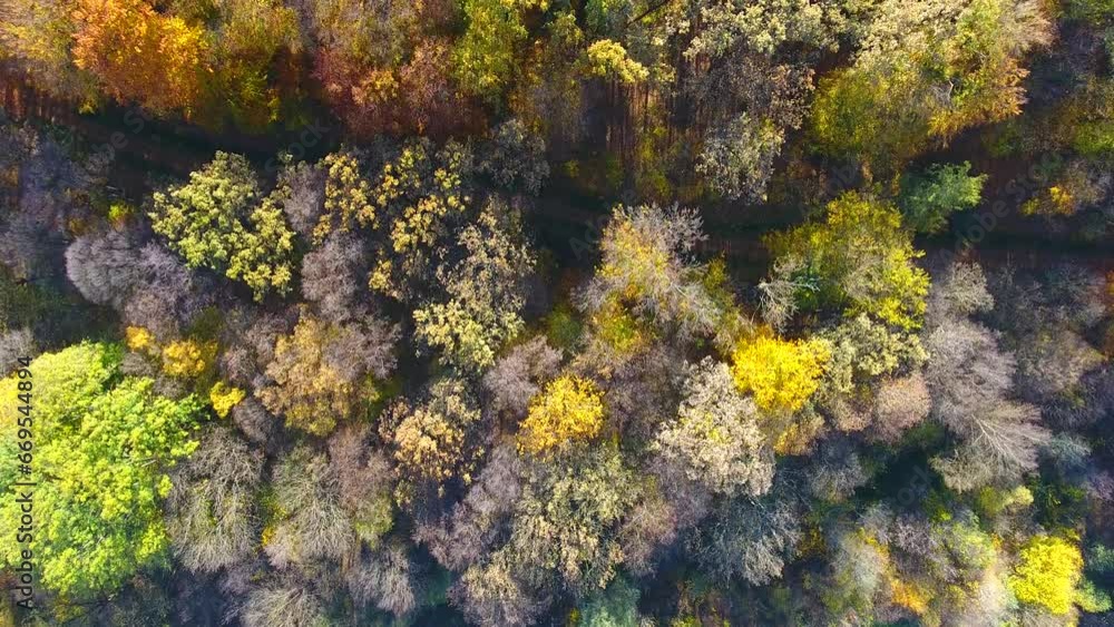 Autumn Forest, aerial view, fly over trees Autumn Forest, aerial view, fly over trees