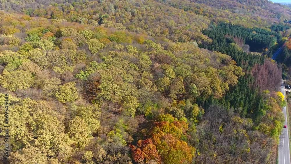 Autumn Forest, aerial view, fly over trees Autumn Forest, aerial view, fly over trees