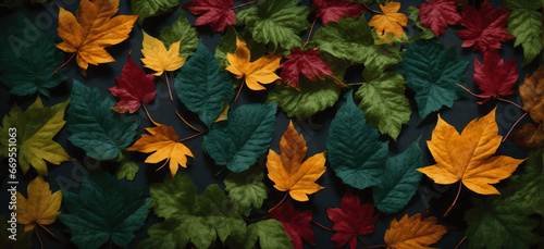 Autumn leaves background. Reniform leaves  providing an enchanting backdrop for text and other creative additions.