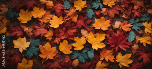 Autumn leaves background  colorful autumn leaves  providing an enchanting backdrop for text and other creative additions.