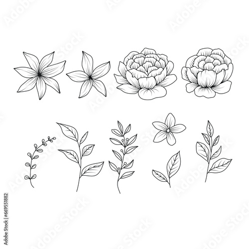 Set of floral sketch vector elements. Botanical collection with peony flowers, leaf branches, leaves and black hand drawing.