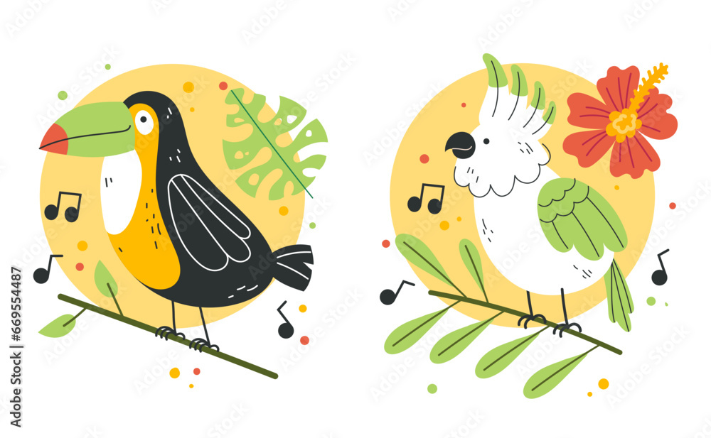 Jungle tropical birds parrot animal art exotic isolated set. Vector flat graphic design illustration
