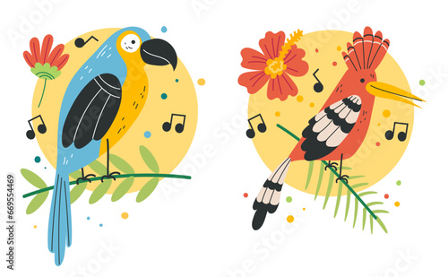 Jungle tropical birds parrot animal art exotic isolated set. Vector flat graphic design illustration
