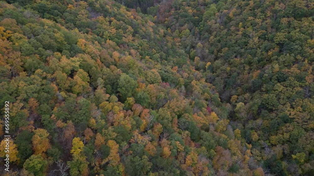 Fall color at Seneca rock, west virginia Fall color at Seneca rock, west virginia