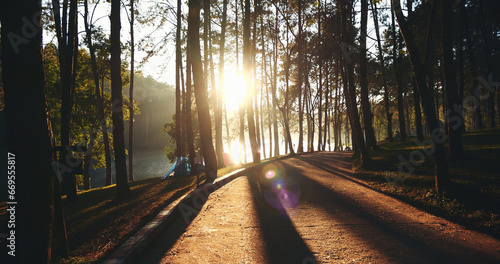 Nature forest green tree magic sunlight beam light in woodland. Beautiful rays of sunlight in tranquil green forest. Sumbeam through ray light outdoors park. Natural Blurred background summer time. photo