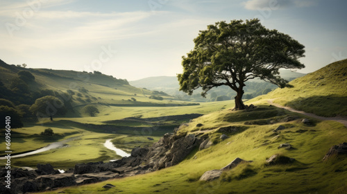 A single, solitary tree stands on a grassy hill, overlooking a town in the distance