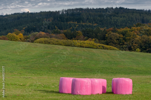 Hay bales wrapped in pink foil. Cattle feed ready for storage. Sosuvka village, South Moravia, Czech Republic.