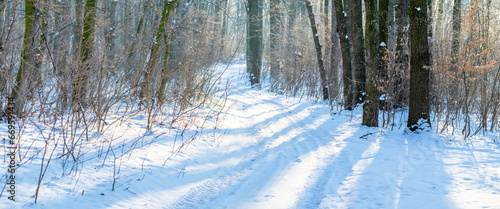 Winter forest on a sunny day with shadows of trees on the snow