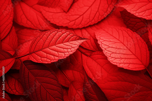 The close up detail of many red leaves texture background or wallpaper, autumn or fall season. Generative AI.