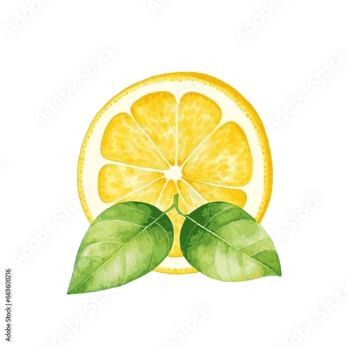 Watercolor lemon slice fruit with leaves for food vitamin design on white background