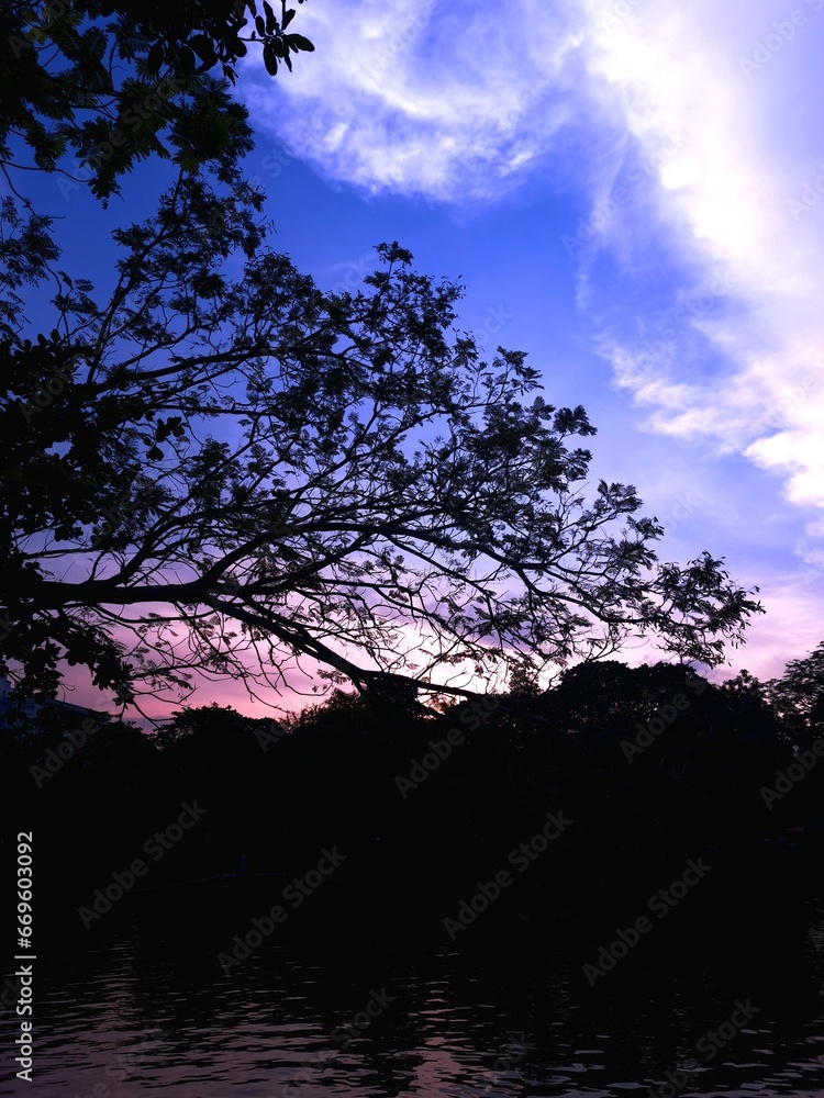 Fototapeta premium sunset over the river