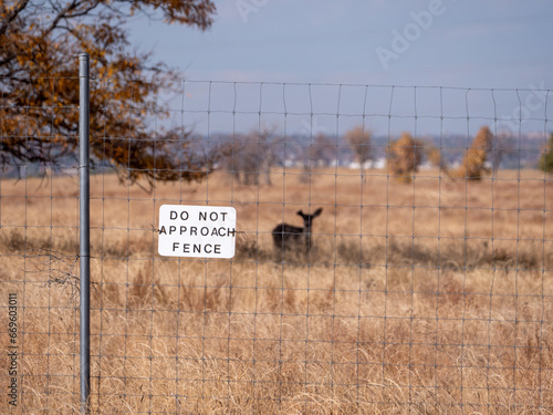 do not approach fence sign with deer