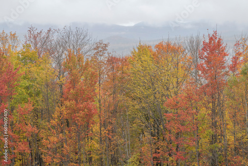 October foliage in the Twin-Zealand Range, White Mountains, New Hampshire