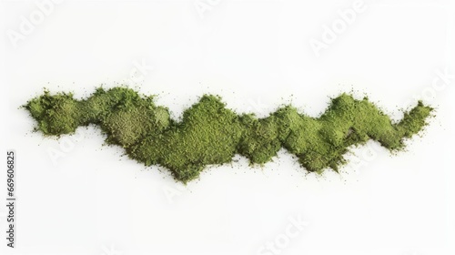 Moss growing on the ground isolated on white background