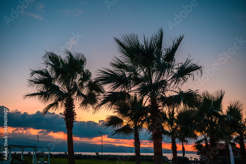 silhouette of a tropical palm tree against the background of a beautiful evening sky near the Mediterranean coast 9 © Михаил Шорохов