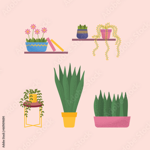 Cartoon Color Different Types Houseplant Set Interior Concept Flat Design Style. Vector illustration of Green House Plant